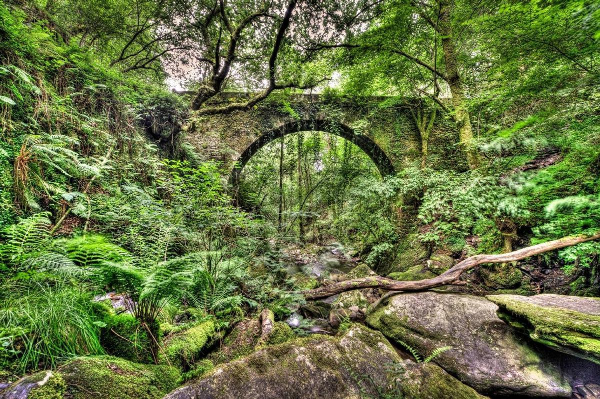 Fragas del Eume, escapadas puente diciembre