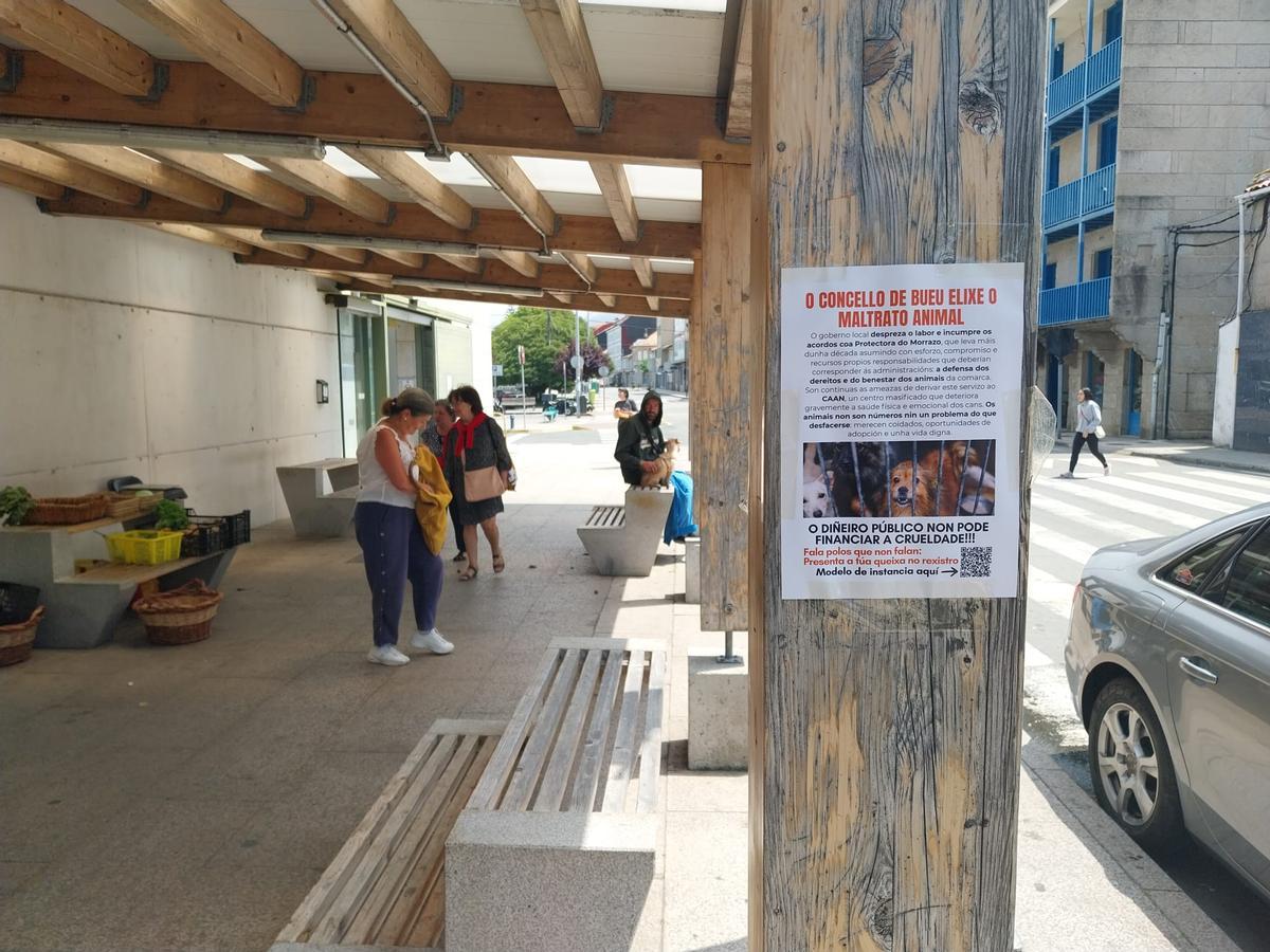Cartel de la Protectora de Animais do Morrazo en el entorno de la plaza de Bueu colocado durante este mes de junio a modo de protesta por los «incumplimientos» del convenio por parte del Concello de Bueu.
