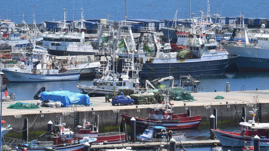 Embarcaciones en la dársena pesquera de Oza, en el puerto de A Coruña.