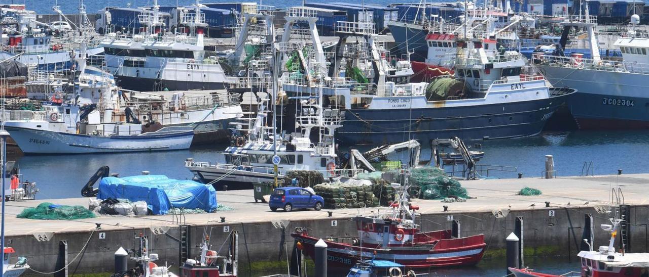 Embarcaciones en la dársena pesquera de Oza, en el puerto de A Coruña.