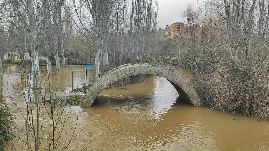 Desbordamiento del río Órbigo en Santa Cristina e inundación de las huertas en Benavente