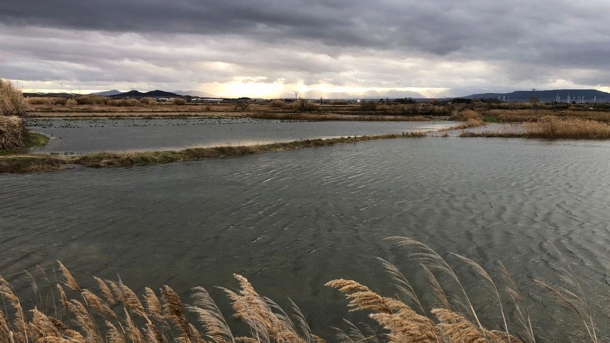 Campos de cultivo de Novillas cubiertos de agua.