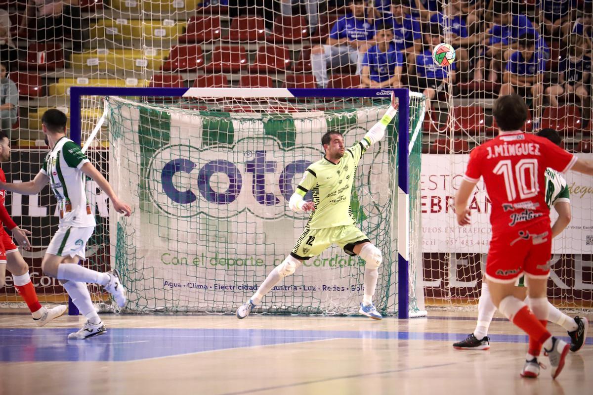 Córdoba Futsal-Jimbee Cartagena: el partido de Vista Alegre en imágenes Córdoba Futsal-Jimbee Cartagena: el partido de Vista Alegre en imágenes