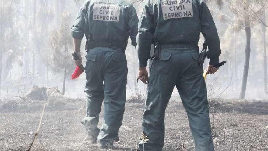 Investigación de un incendio en Cotobade.  // S. Álvarez