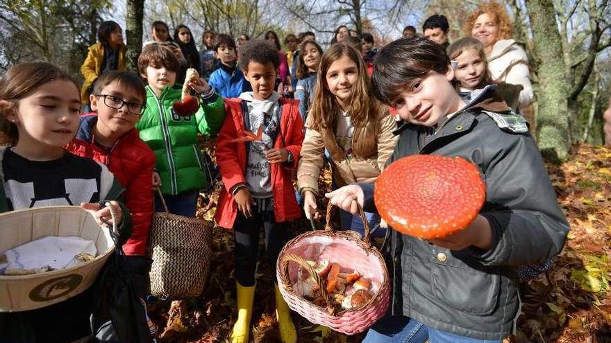 Niños del Álvarez Limeses que ayer buscaron setas en el Lago Castiñeiras. // Gustavo Santos