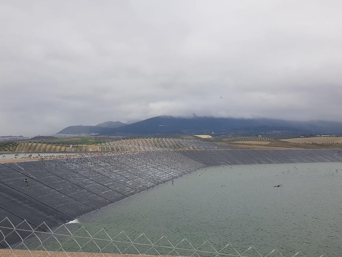 Balsa de regadío en Jaén, similar a las que se construirán en la provincia de Córdoba.