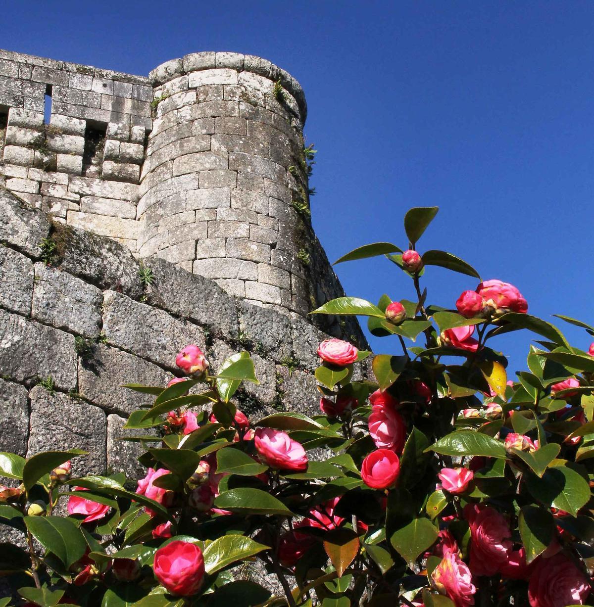 Castillo de Soutomaior