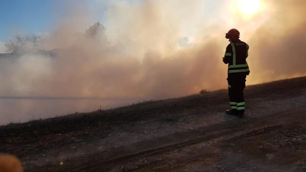 Las llamas han afectado a 7.000 metros de cañar y matorral en la huerta