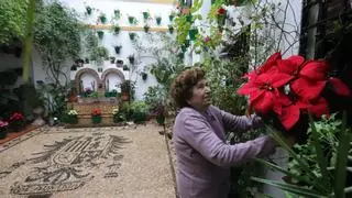 Los patios se preparan para conmemorar el 10º aniversario de la declaración de Patrimonio de la Humanidad