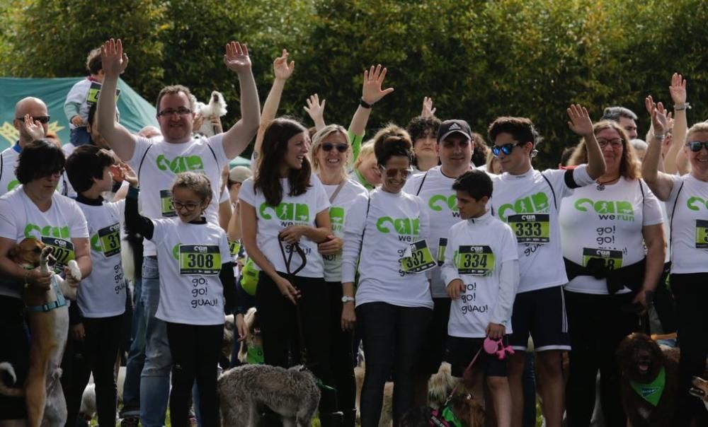 "Can We Run" reúne a más de 400 perros y corredores en el Parque Fluvial de Viesques, en Gijón.