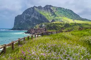 Jeju, la isla de Corea del Sur donde las mujeres bucean sin oxígeno y los paisajes volcánicos son Patrimonio de la Humanidad