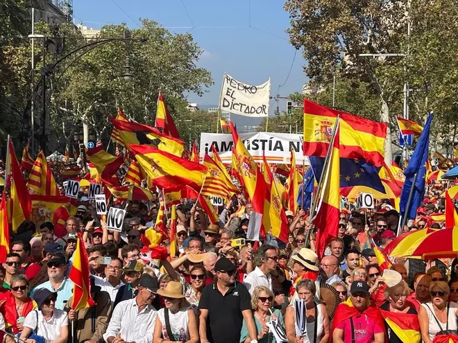 La manifestació en contra l'amnistia i l'autodeterminació en imatges