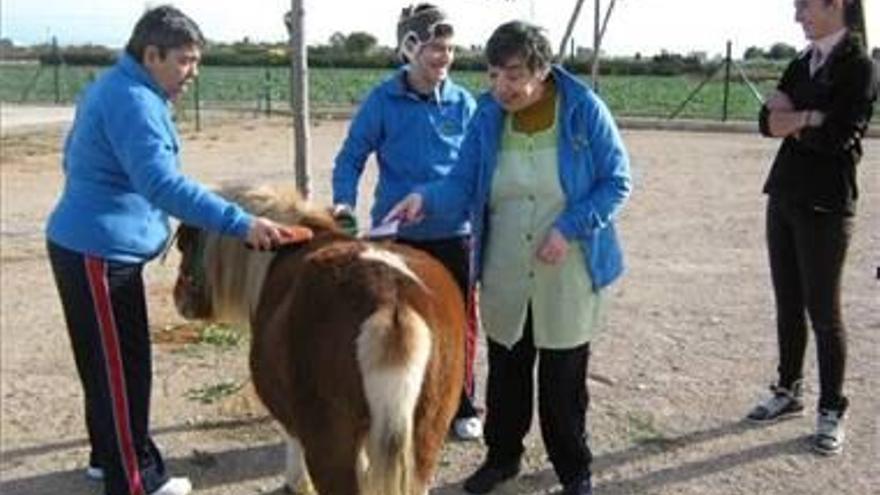 Los animales de Can Joan ayudan a los discapacitados de El Collet