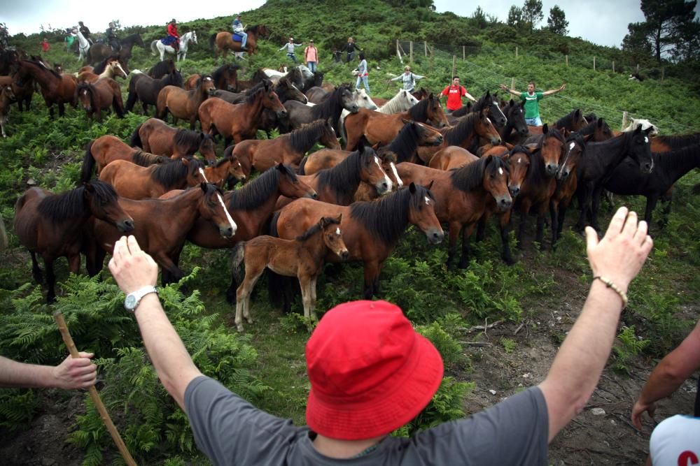 Diferentes grupos de personas fueron tratando de reunir a los caballos de los montes vecinos y conducirlos hasta O Peón