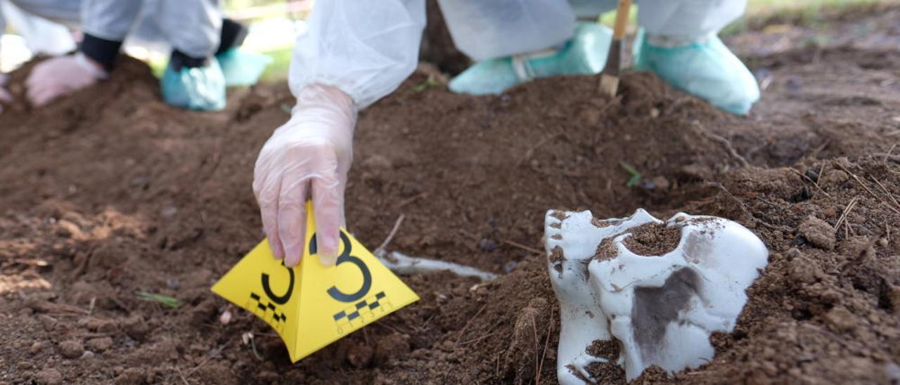 Los alumnos de Criminología de la Universidad de Alicante recrean escenas de asesinatos