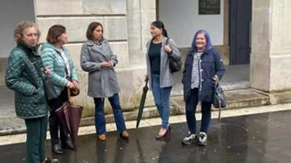 Podemos critica la gestión municipal de las colonias felinas en Siero: "Hay una dejación de funciones total"