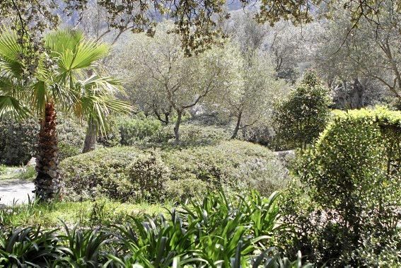 Einer der schönsten Winkel der Insel - das Tal und der Garten von Ariant - kann wieder bei geführten Rundgängen erkundet werden.