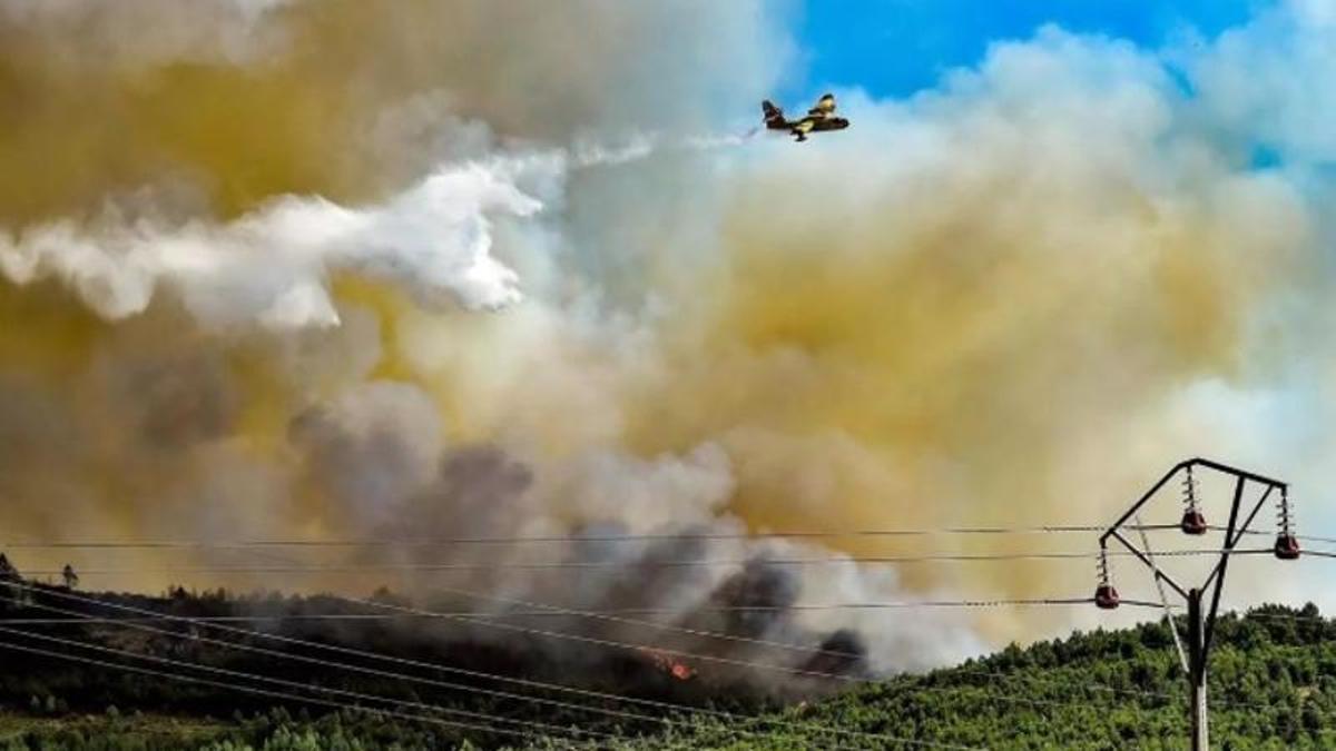 Incendio forestal registrado el pasado sábado en Casas de Millán.