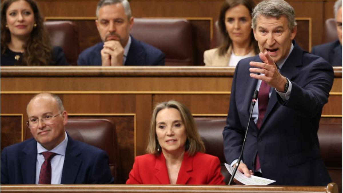 Feijóo, en el Congreso.