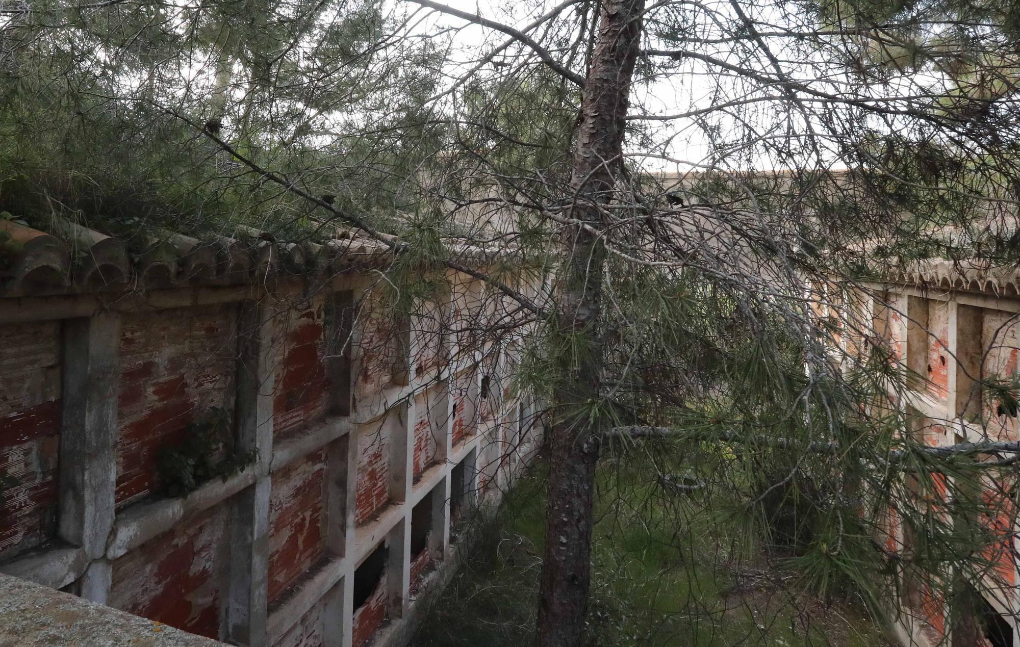 El cementerio abandonado de Moncada que te recordará a las películas de zombies