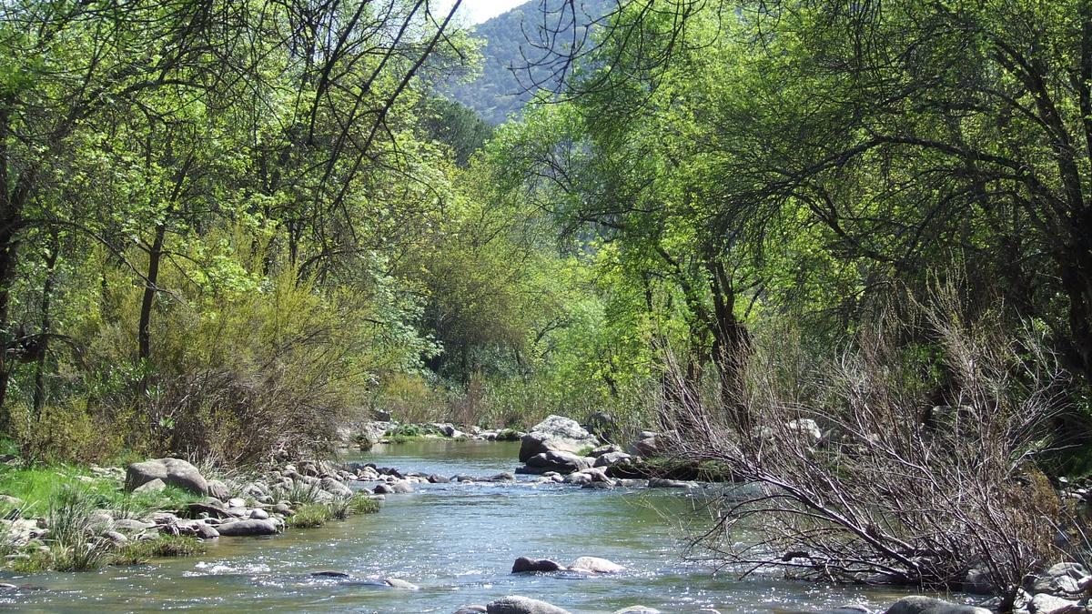 Imagen de archivo del Parque Natural de la Sierra Cardeña Montoro