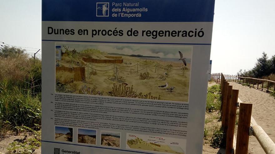Acaben les obres per protegir les dunes del litoral empordanès