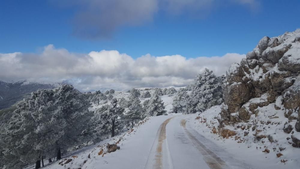 Nieve en Calar de la Santa, Moratalla