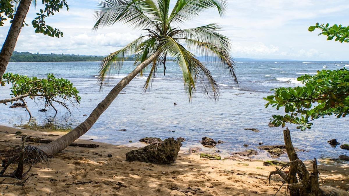 Vista de Manzanillo, Costa Rico