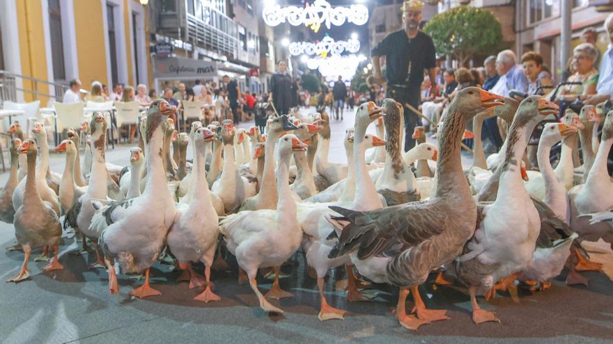 Aquí están las mejores fotos del bando y desfile de la huerta de las fiestas de Almoradí 2025