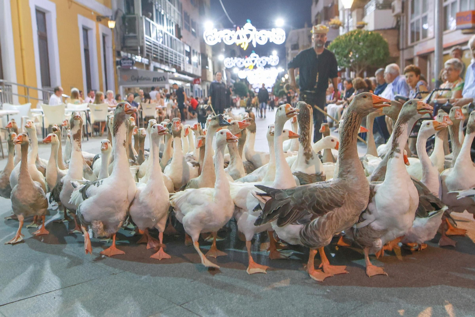 Aquí están las mejores fotos del bando de las fiestas de Almoradí 2025