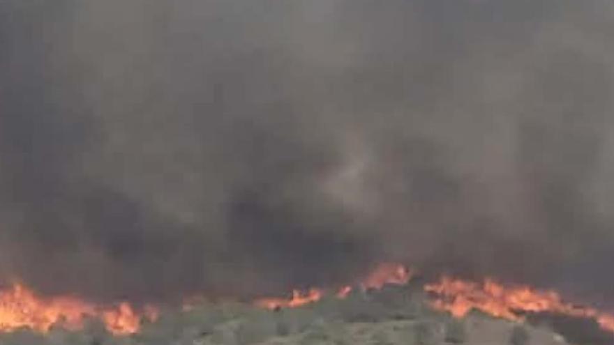 Un Incendio amenaza la urbanización de Camposol en Mazarrón