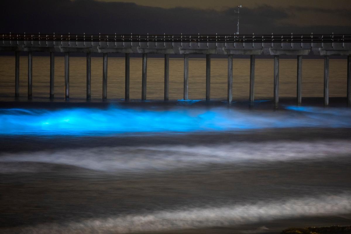 Olas bioluminiscentes en la Jolla Shores, San Diego