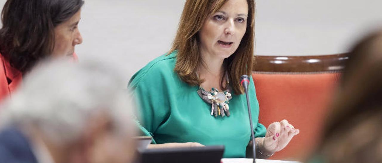 La consejera Nieves Lady Barreto, ayer en el Parlamento.