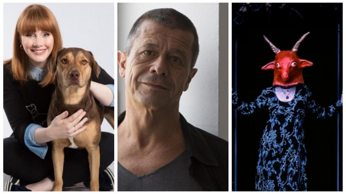Imágenes de “Pets”, de Bryce Dallas Howard, “Carrère, el escritor y el asesino”, de Camille Juza y “El reino de Satán”, de Scott Cummings