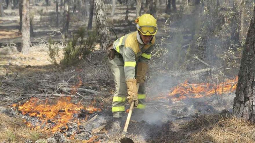 Un trabajador de una cuadrilla apaga las llamas en el incendio extendido por el pinar de la Raya.
