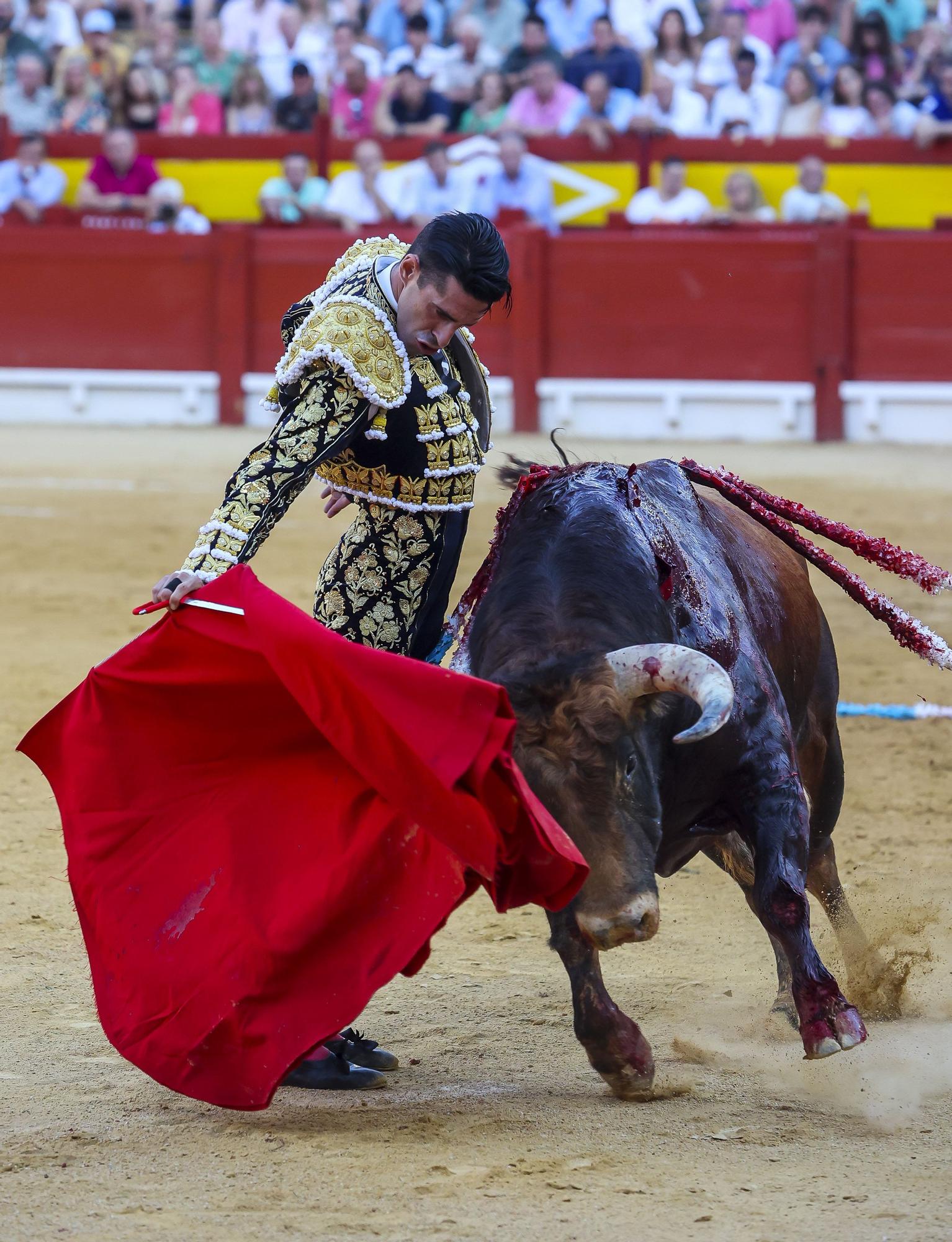 La quinta de la Feria de Hogueras