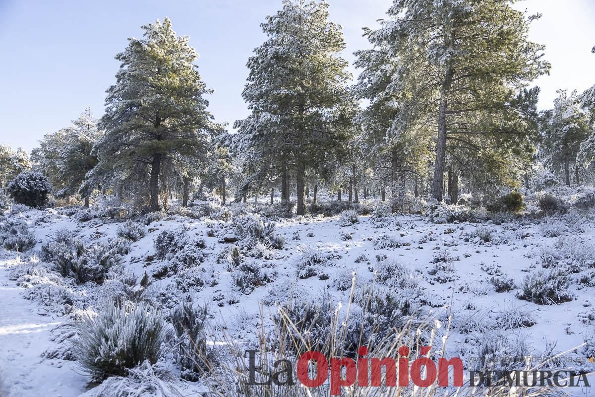 Descubre dónde queda acumulación de nieve en la Región de Murcia