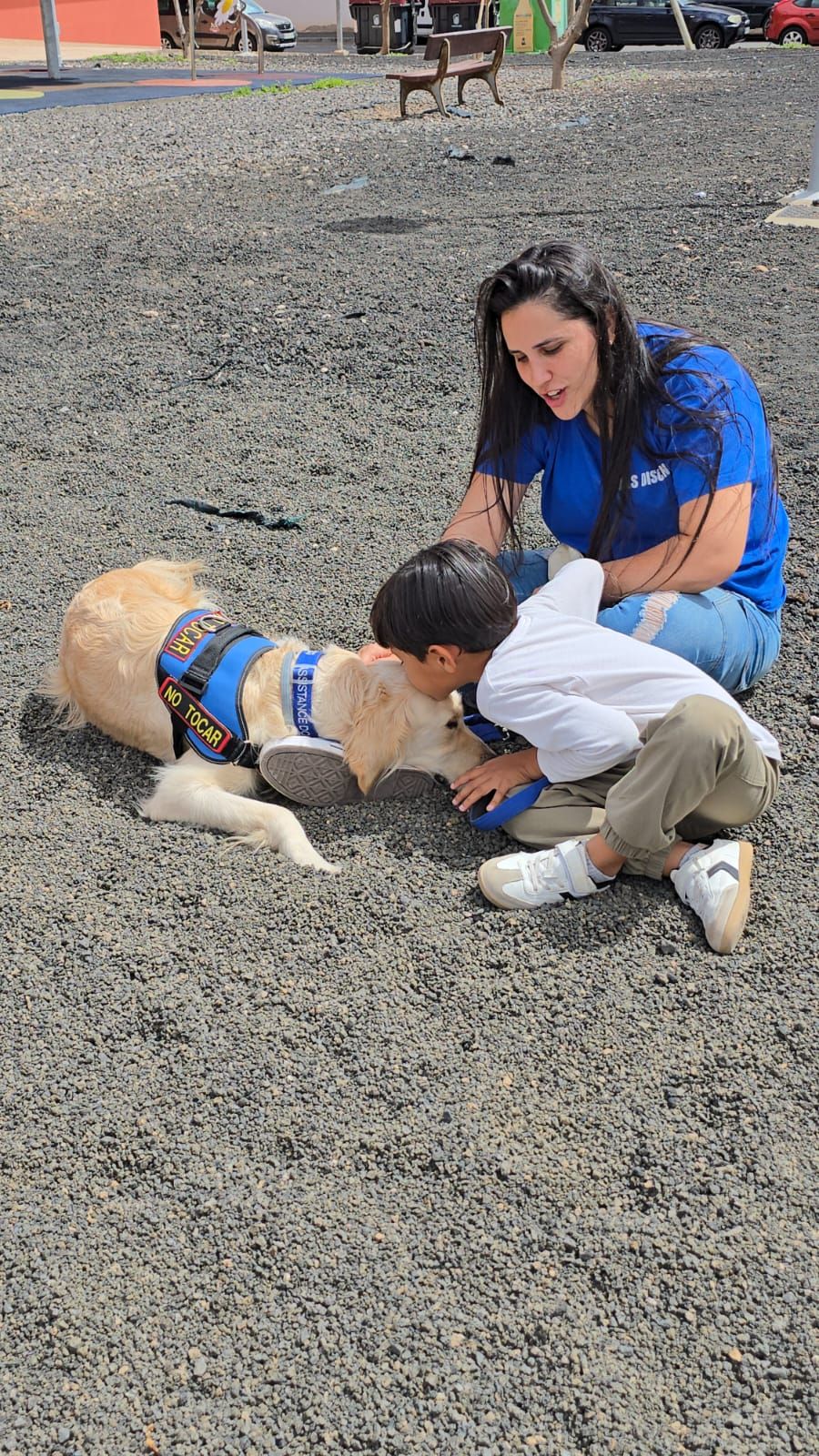 Yogui, primer perro de asistencia de Canarias