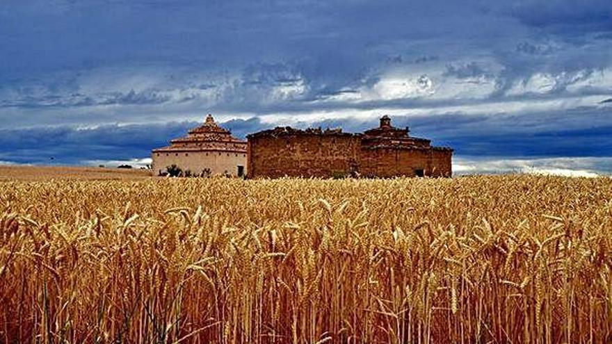 Fotografía premiada en el concurso Mundo Rural 2019.