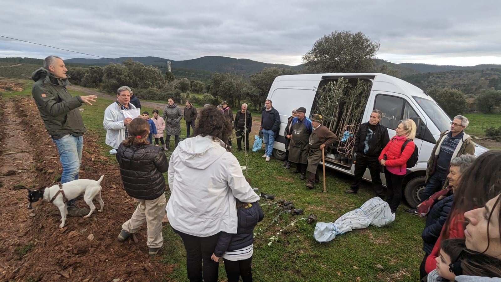 GALERÍA | Un jardín de 20 especies de olivos en Aliste