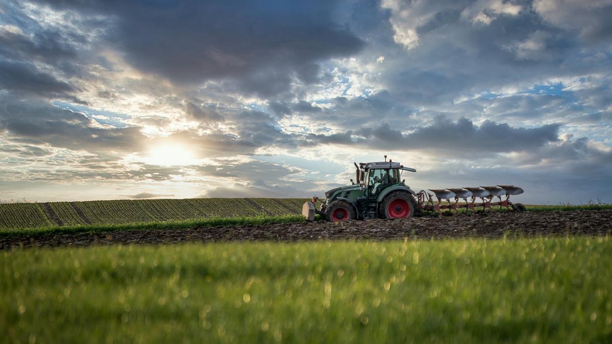 UPA reclama que se escuche a los pequeños productores a la hora de diseñar el Plan Estratégico Nacional de la PAC.