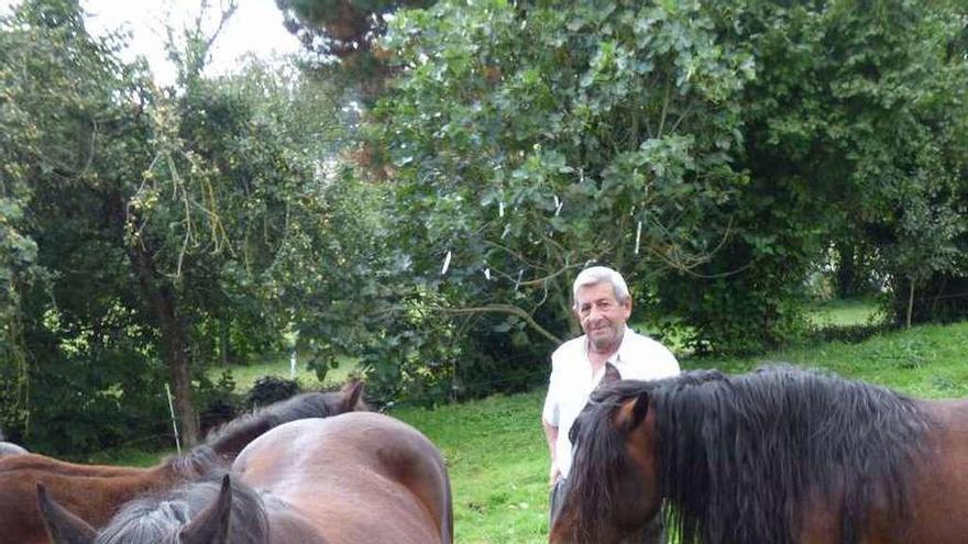 José Manuel Bueno al lado de su caballo &quot;Rubio&quot; y la yegua &quot;July&quot;.