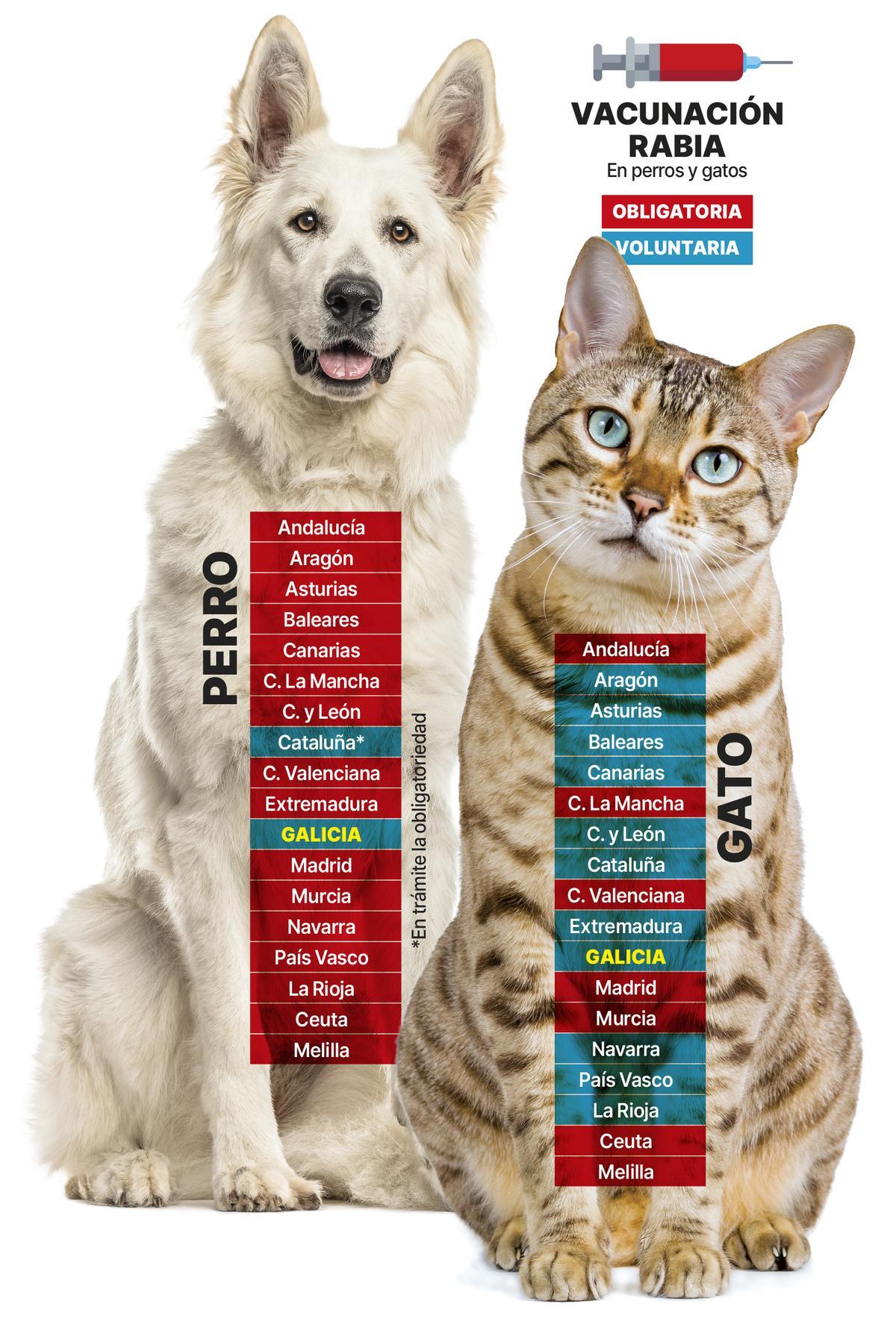 Vacunación Rabia Perros y Gatos 2025