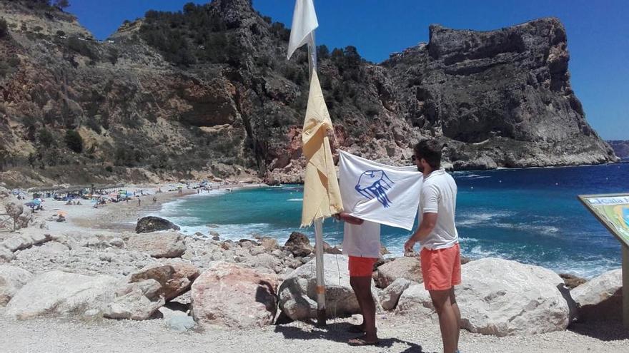 Los socorristas, colocando la bandera que alerta de la presencia de medusas.