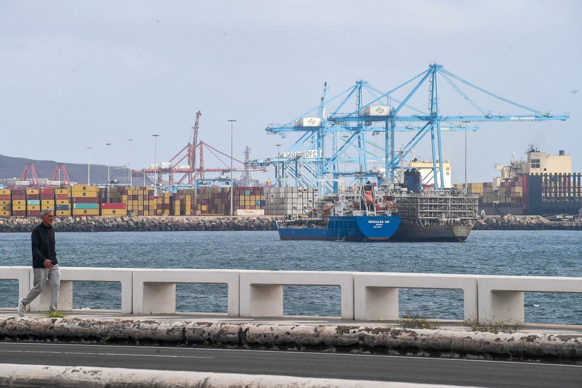 Barco 'Zein I', fondeado cargado de vacas en el Puerto de Las Palmas Barco 'Zein I', fondeado cargado de vacas en el Puerto de Las Palmas