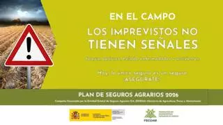 Fecoam destaca el valor estratégico de las cooperativas ante el riesgo en el agro