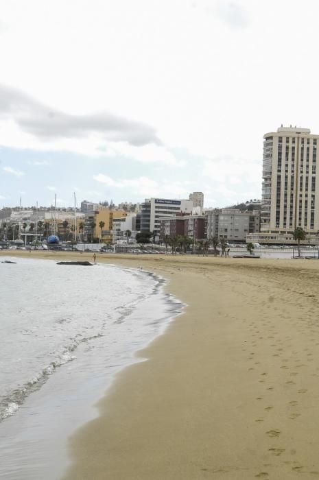 CONTAMINACION EN LA PLAYA DE LAS ALCARAVANERAS