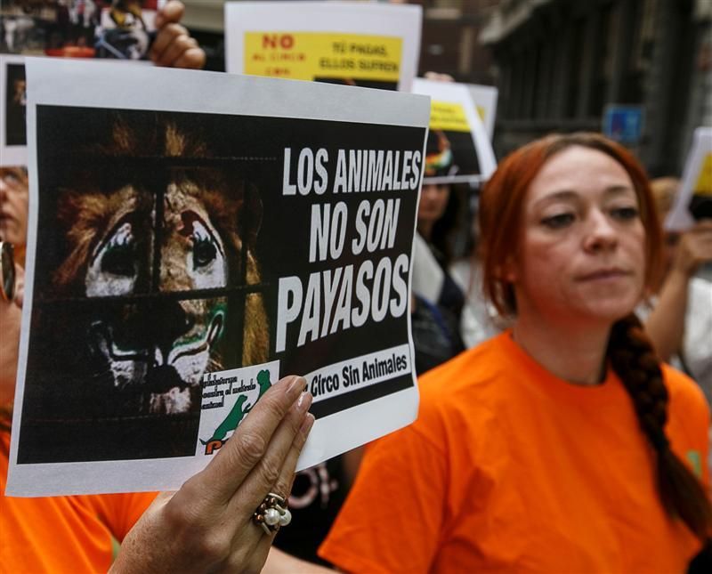 Protesta para prohibir el maltrato de animales