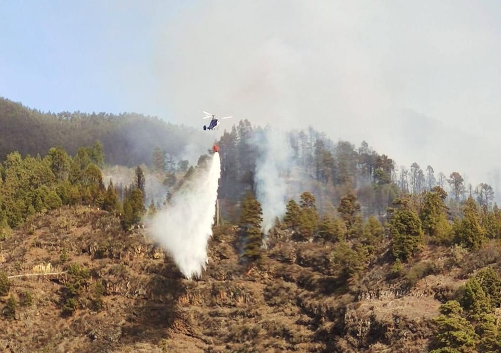 Conato de incendio en Tijarafe