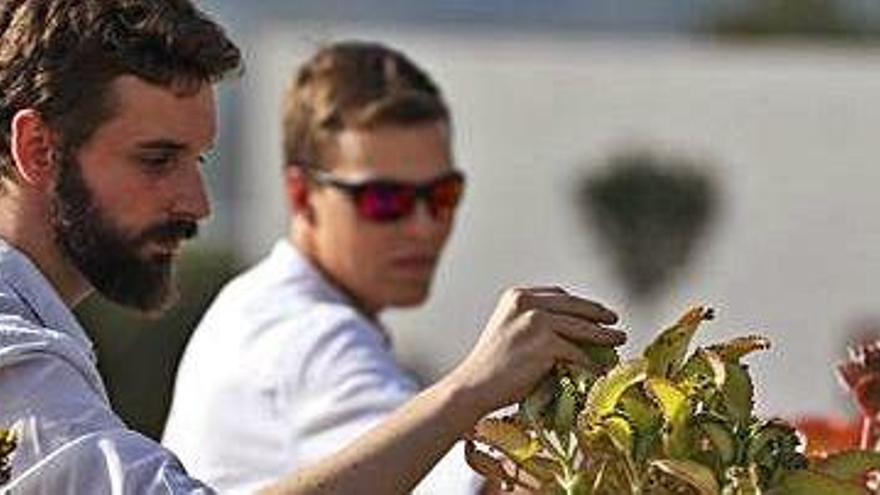 Vidarte tocando las plantas para hacer sonar el piano